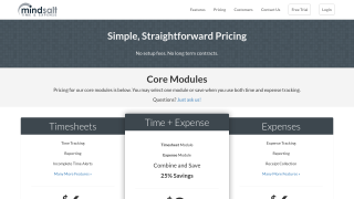 MindSalt Time Expense